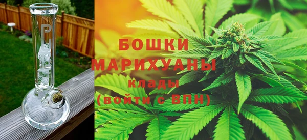 бошки Аркадак