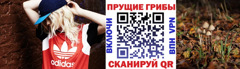 Купить где  Туймазы  Галлюциногенные грибы ЛСД 